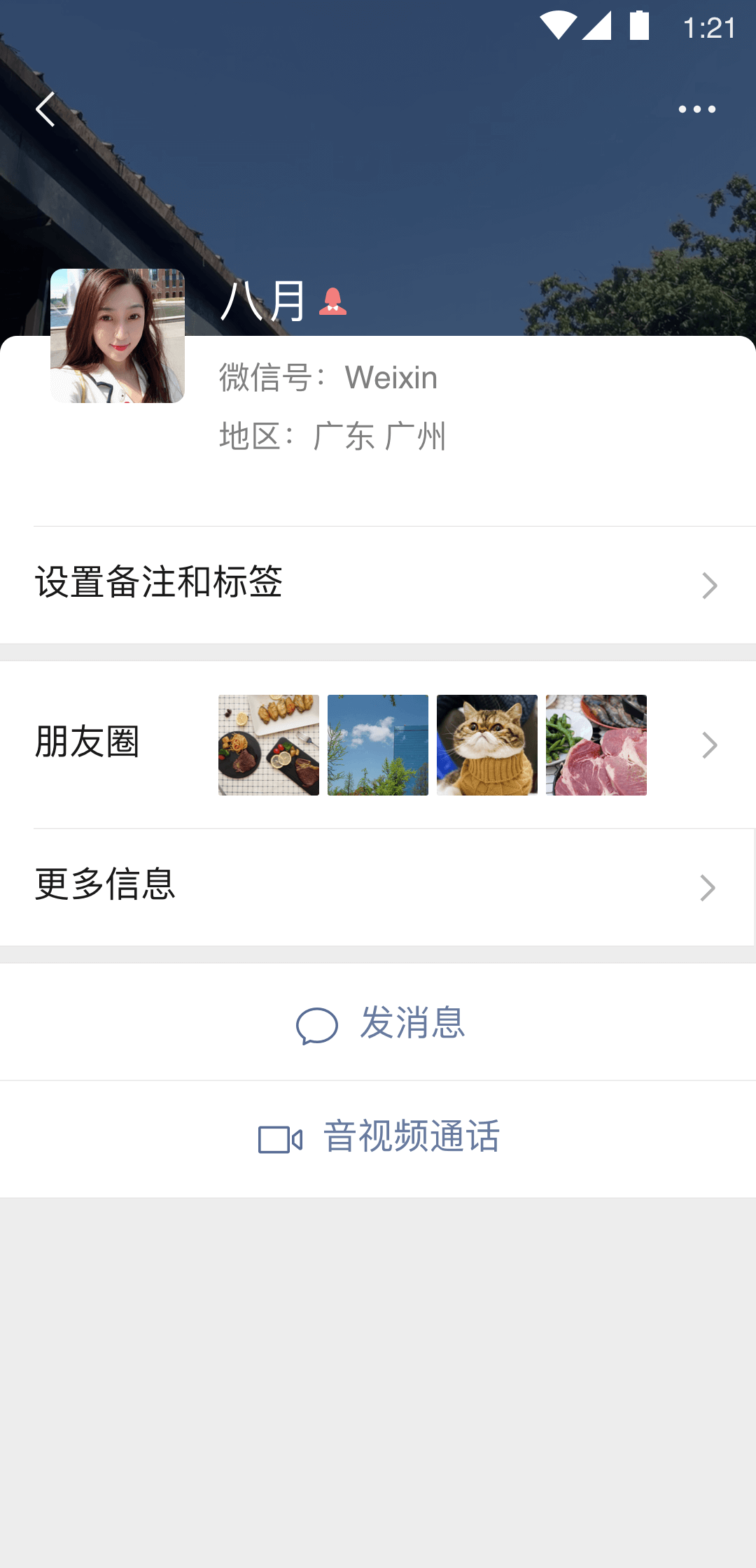 北京宠儿黄金截图